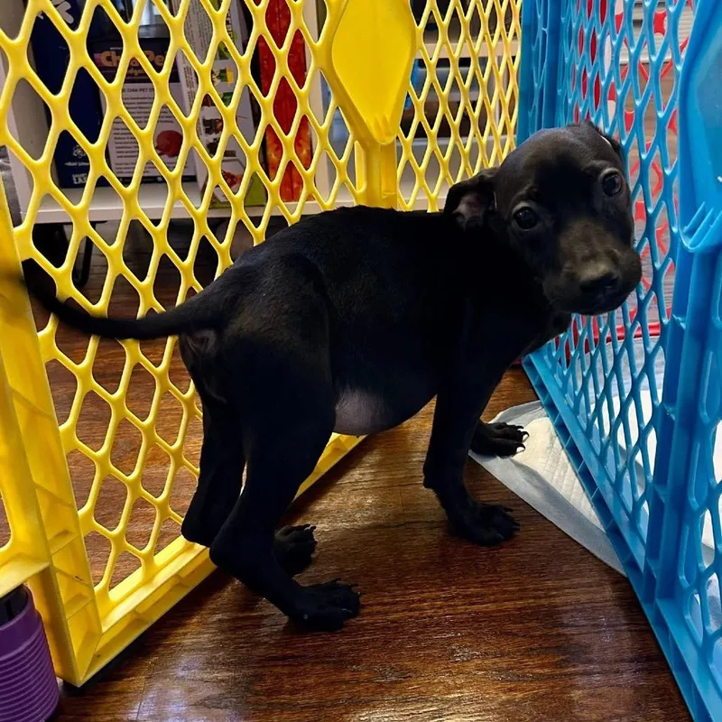 Madi March Madness thumbnail 2