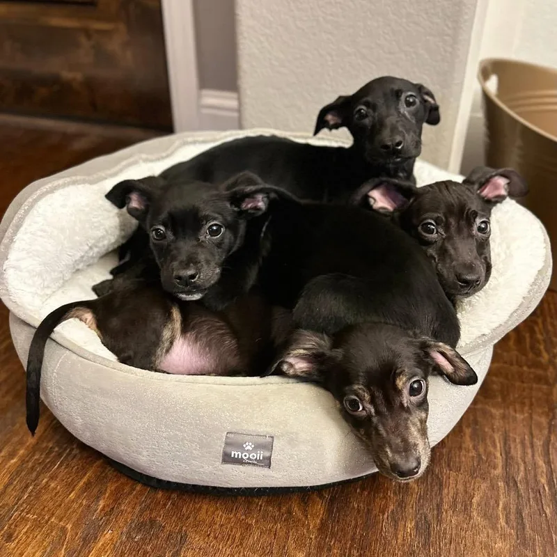 Madi March Madness thumbnail 3