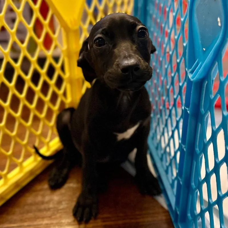 Madi March Madness thumbnail 4