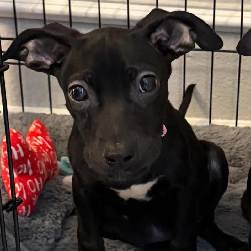 Madi March Madness thumbnail 5