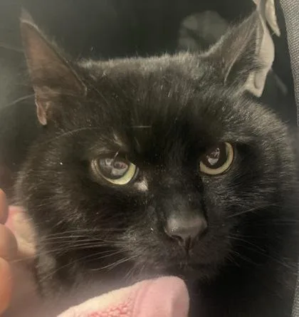 Little Bit thumbnail 2