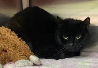 Little Bit thumbnail 3