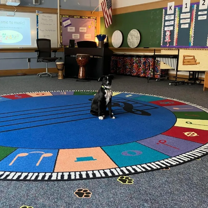 Ct Basil thumbnail 6