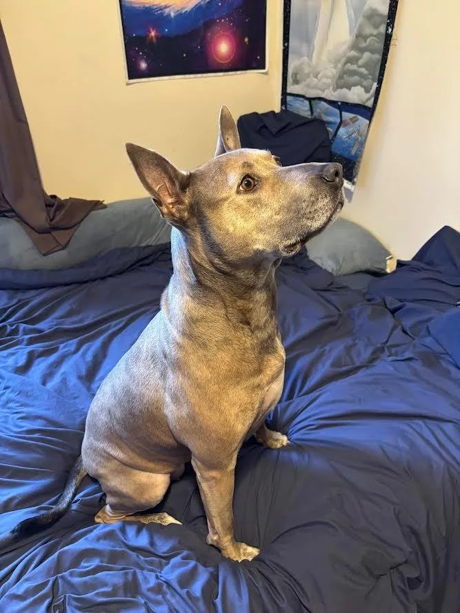 Maggie