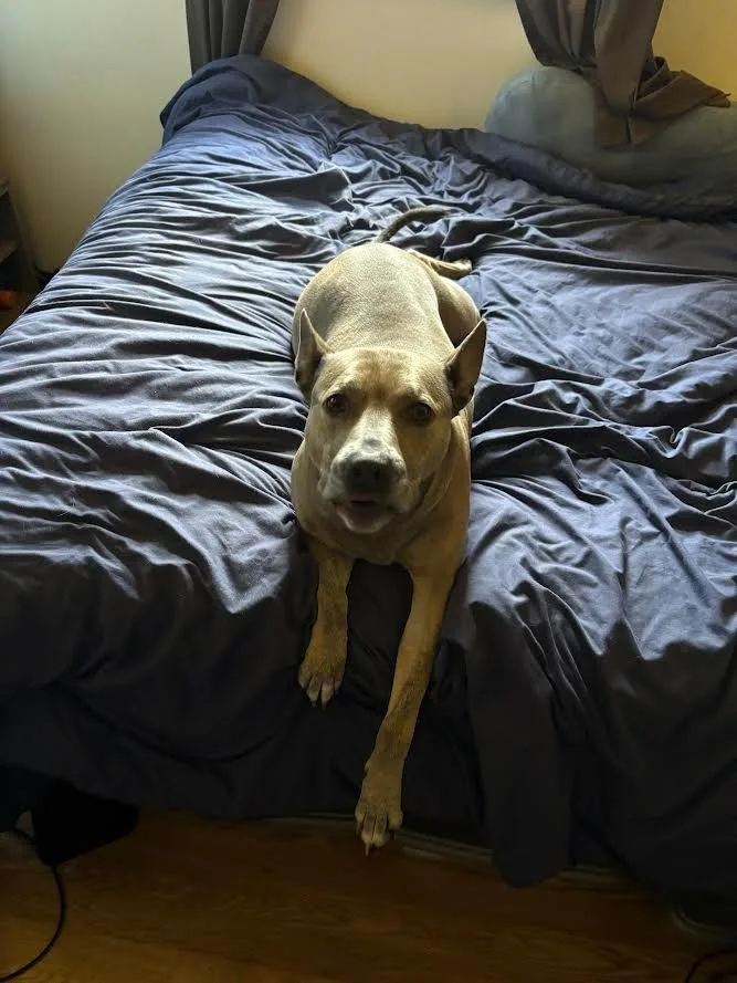 Maggie thumbnail 3