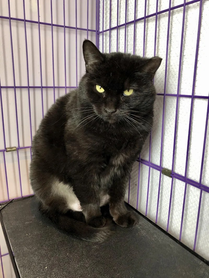 Serenity thumbnail 5