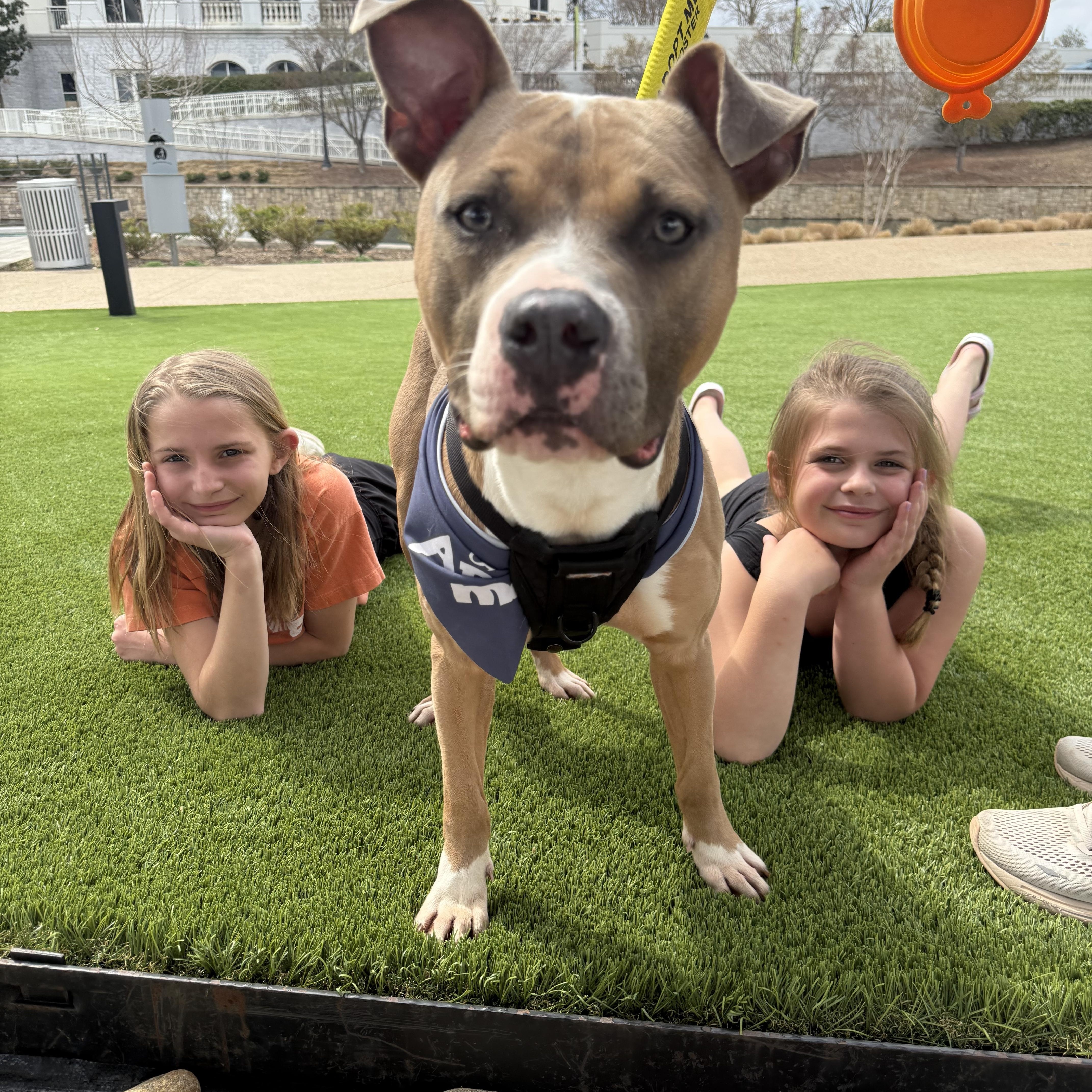 Matthias thumbnail 2