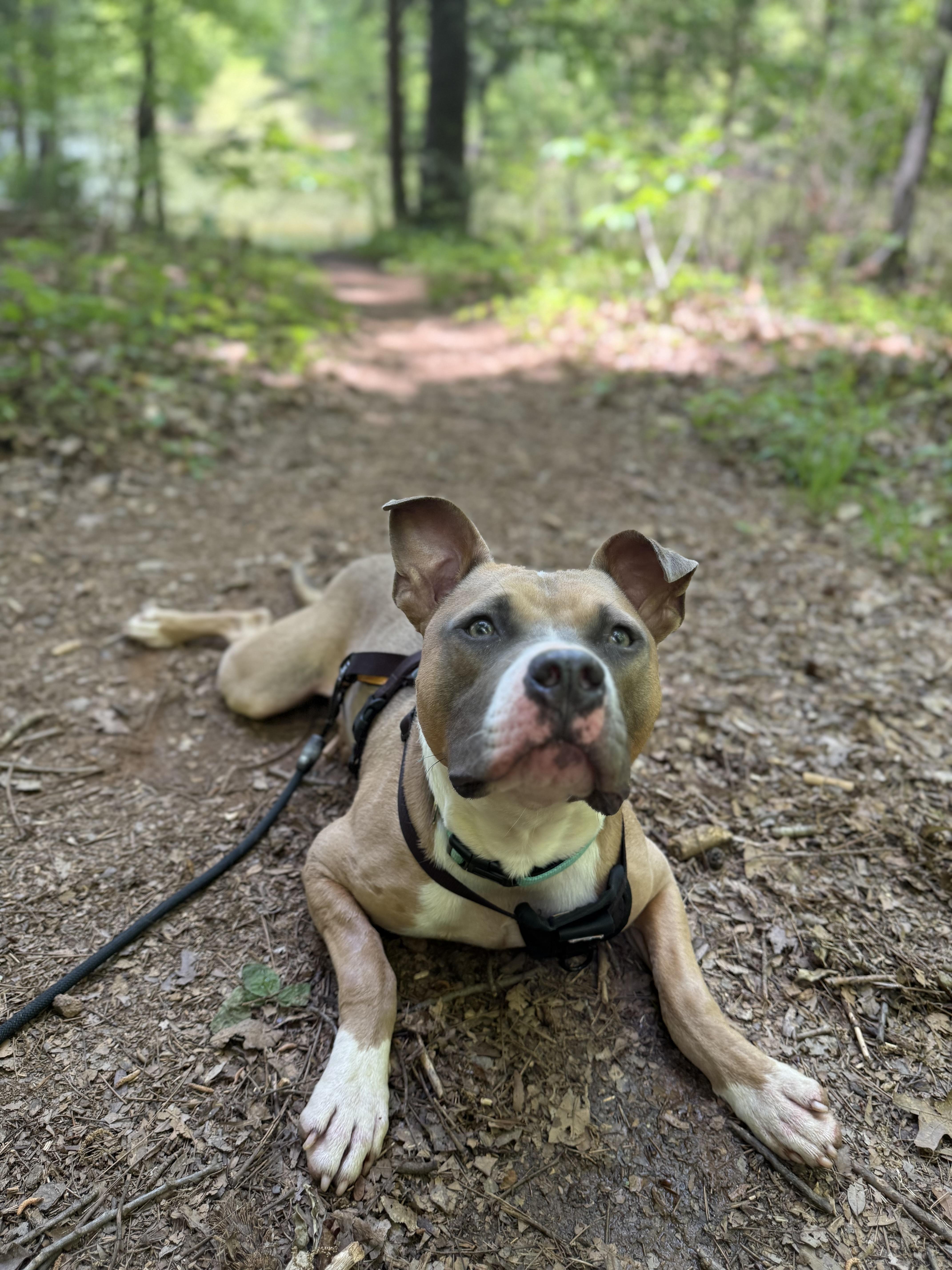 Matthias thumbnail 3