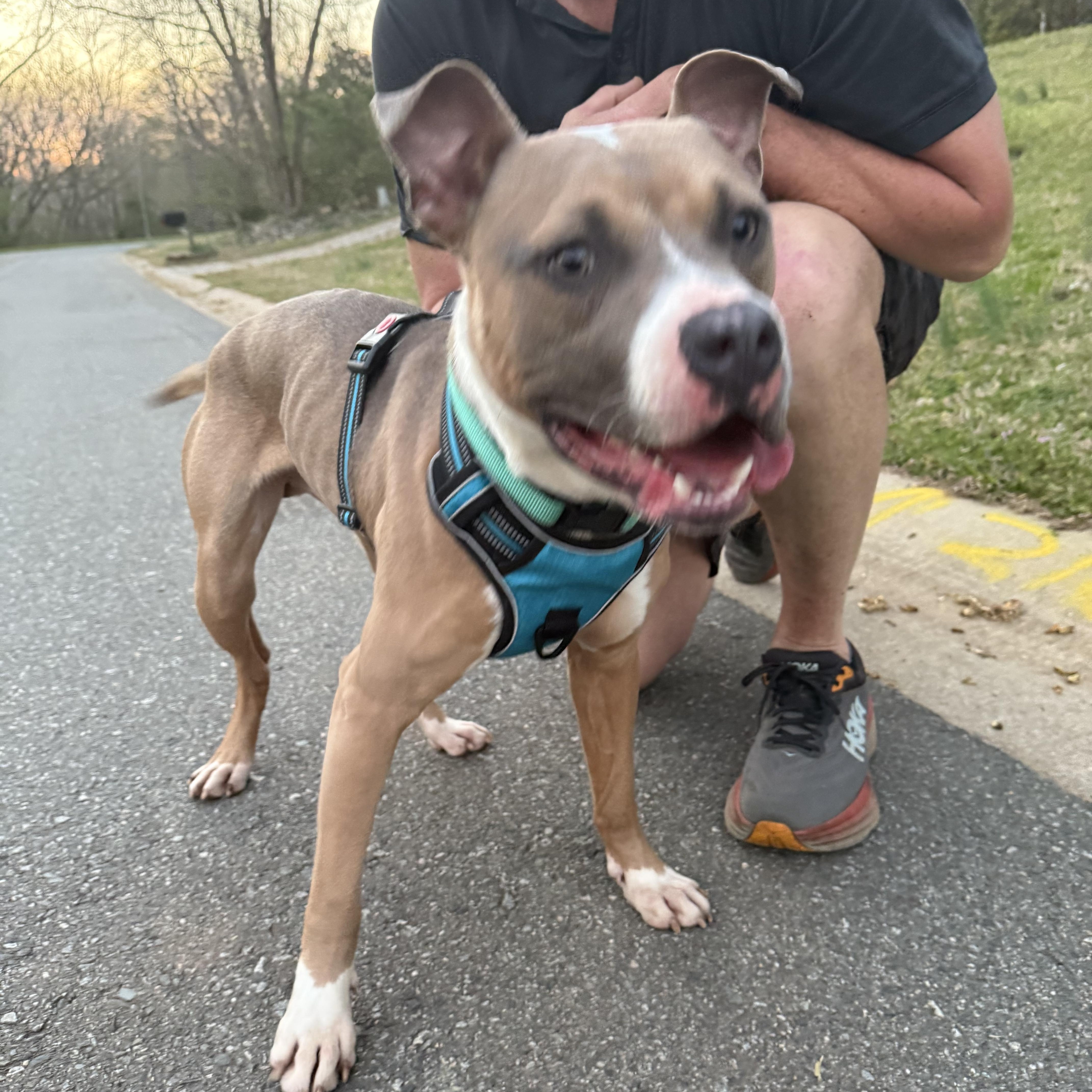 Matthias thumbnail 4