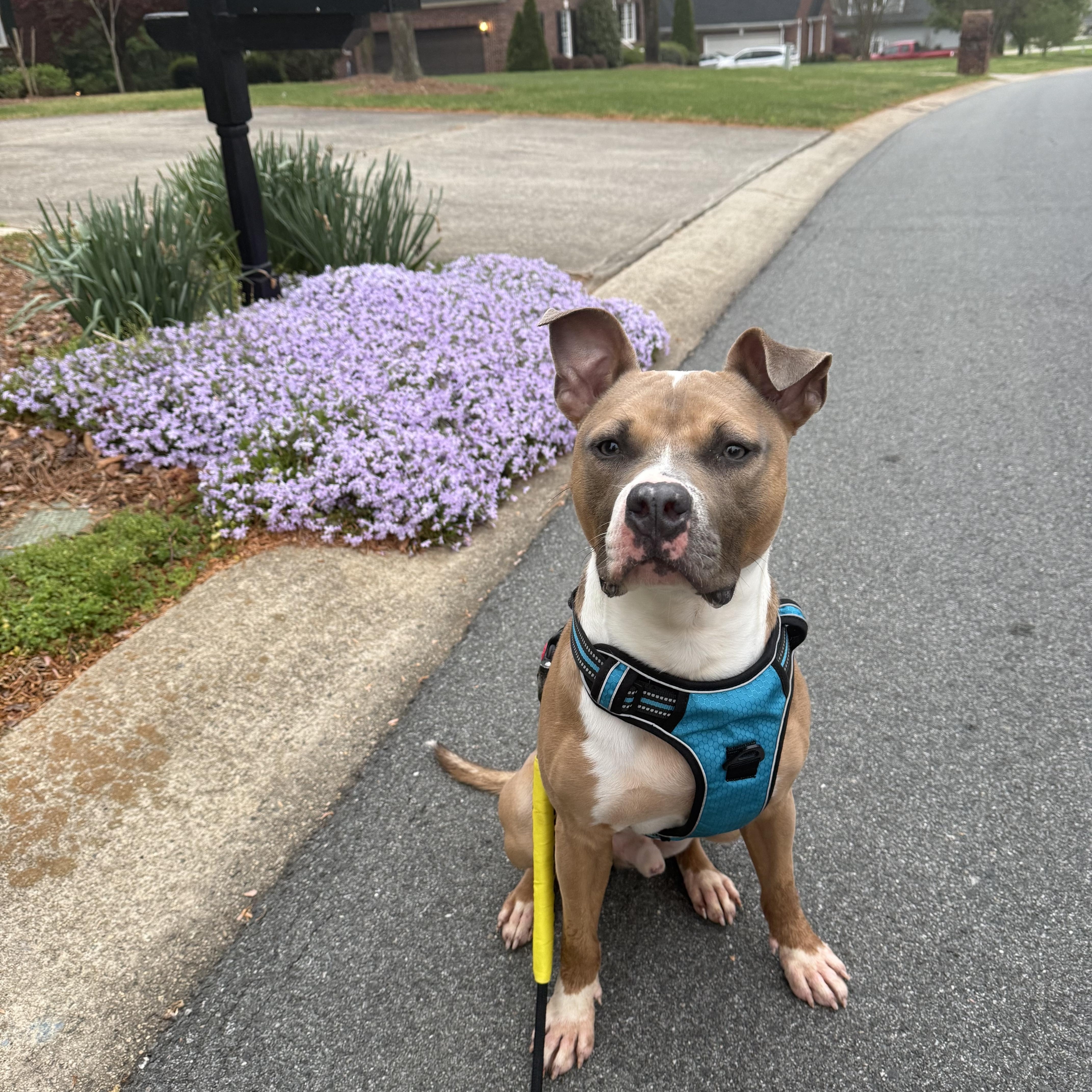 Matthias thumbnail 5