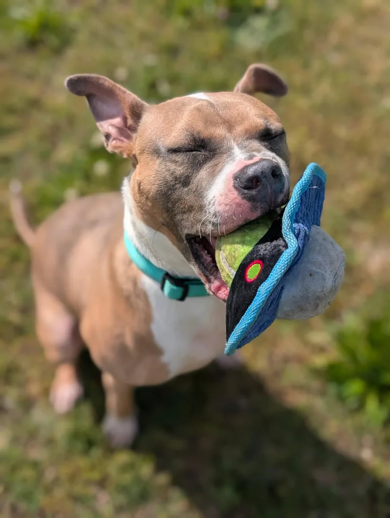 Matthias thumbnail 6