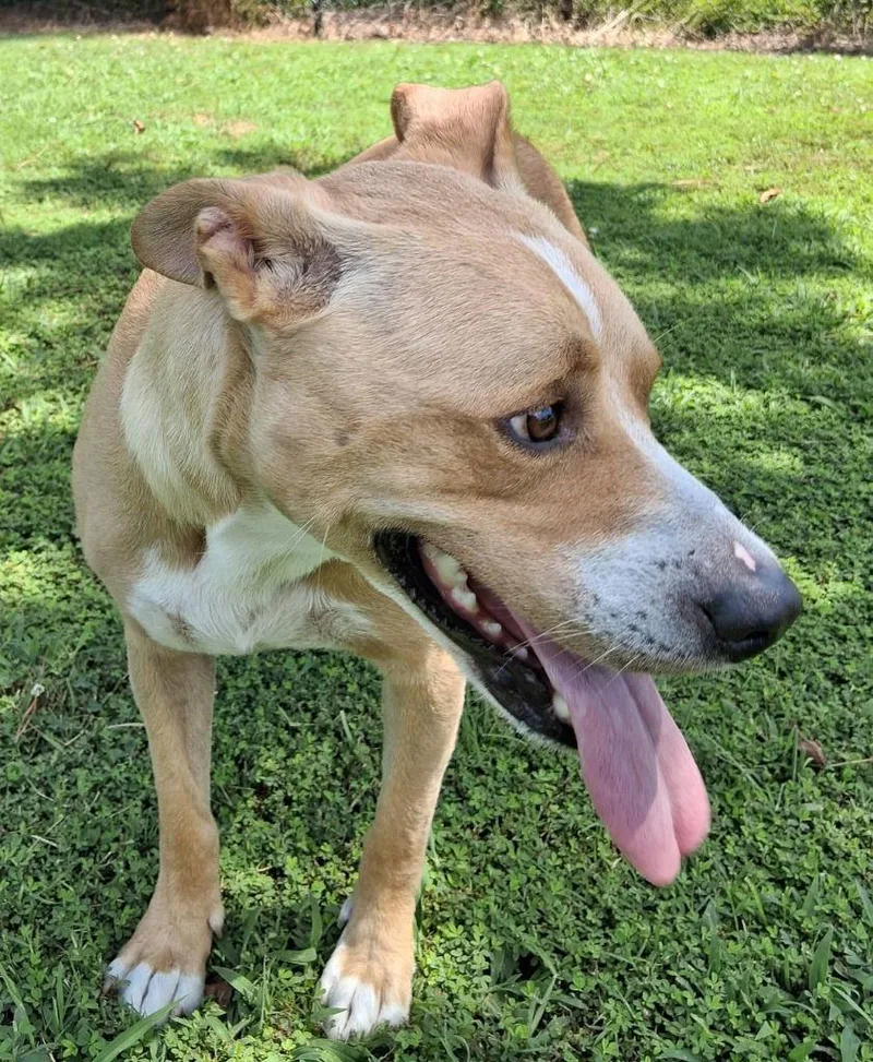 Teddybeau thumbnail 2