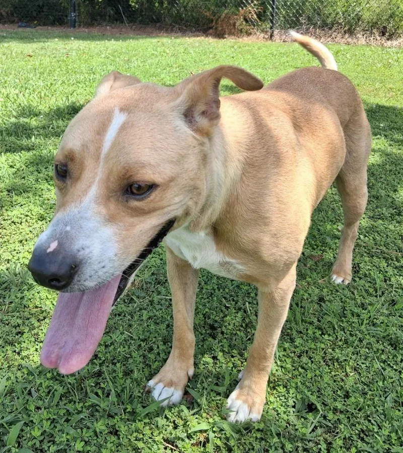 Teddybeau thumbnail 3