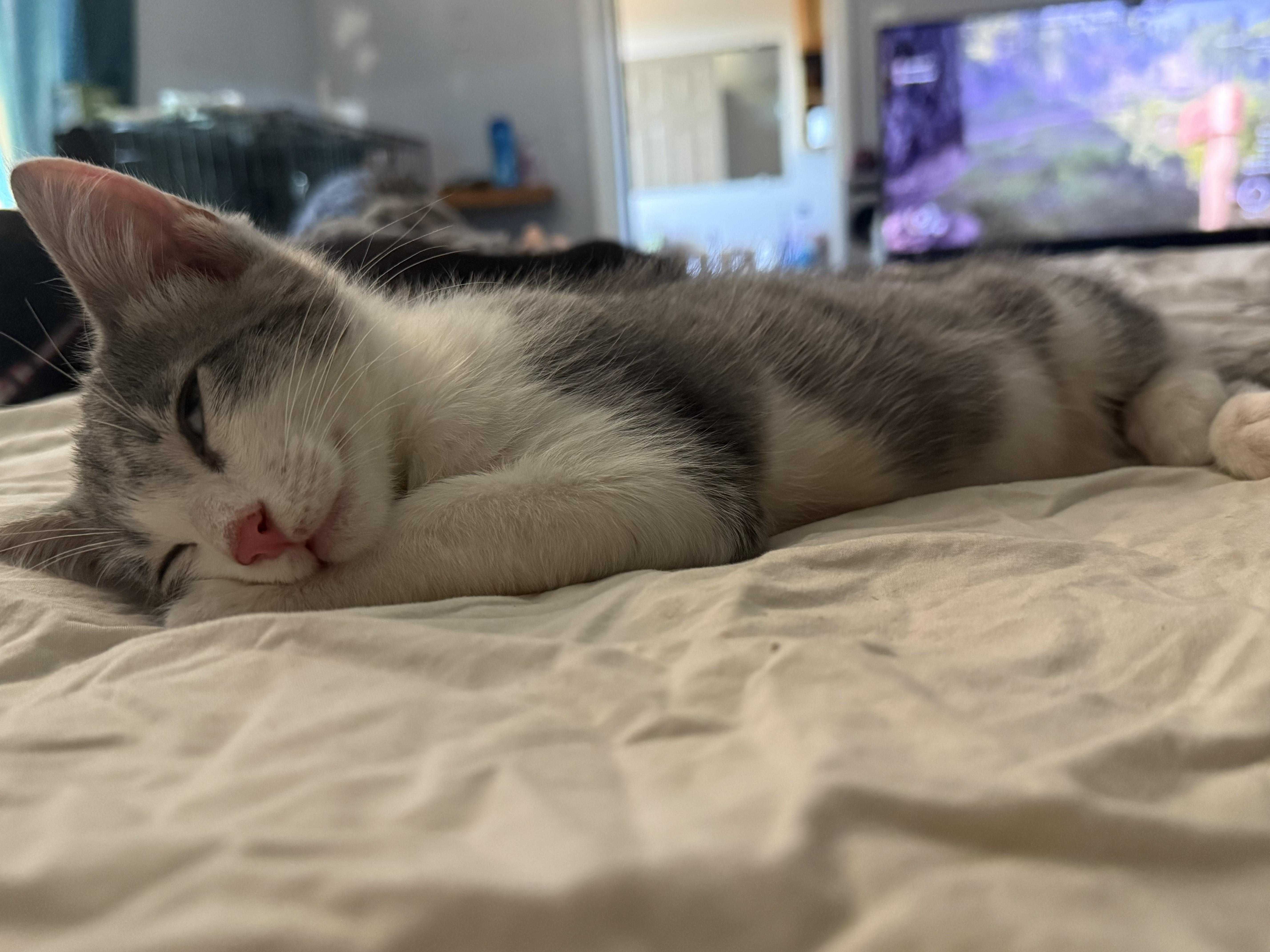 Butters thumbnail 3