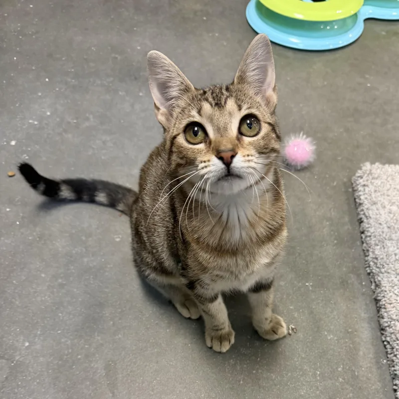 June Carter thumbnail 2