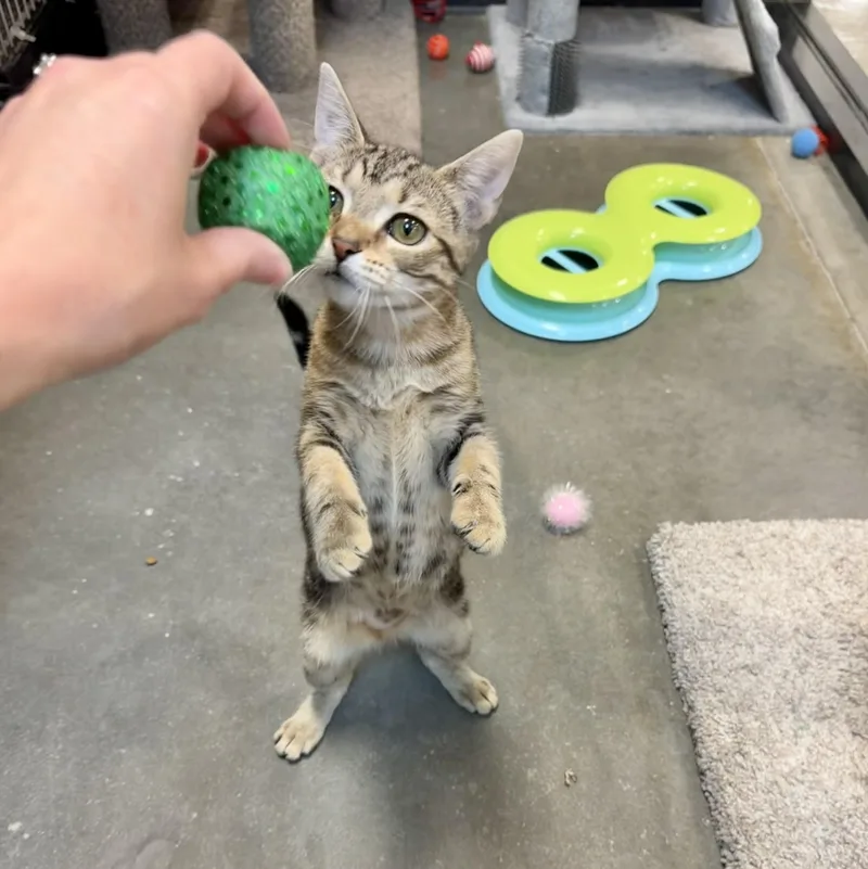 June Carter thumbnail 3