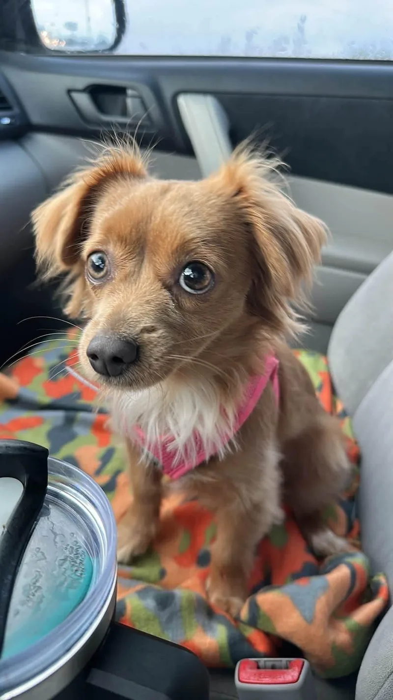Lizy thumbnail 2