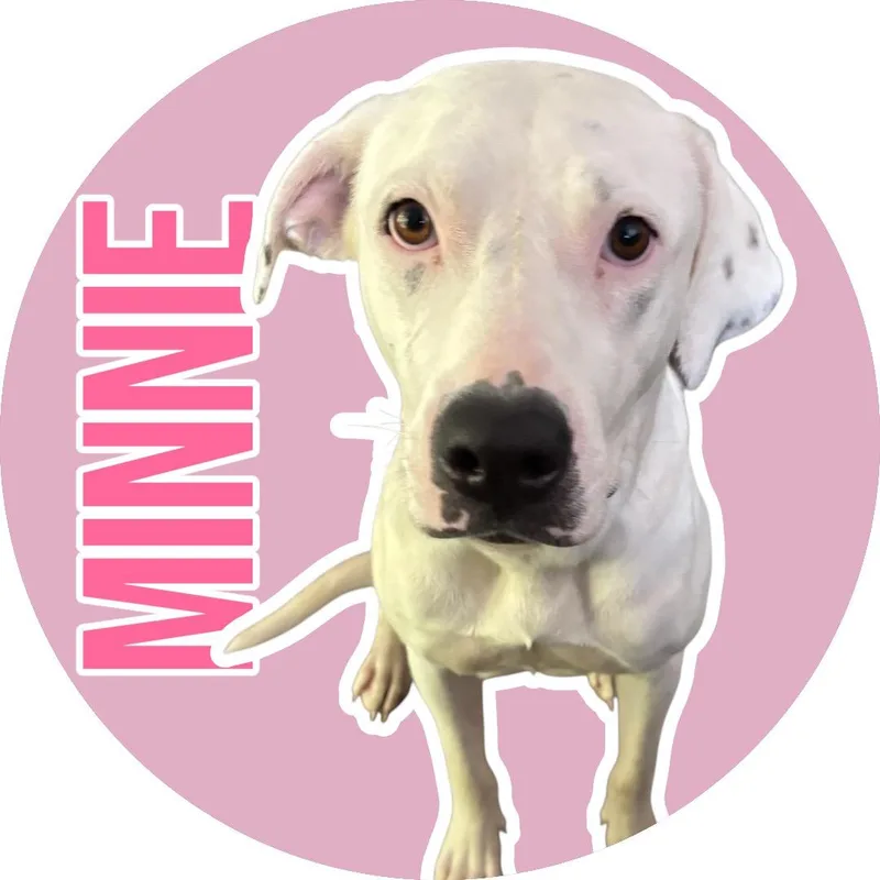 Minnie thumbnail 2