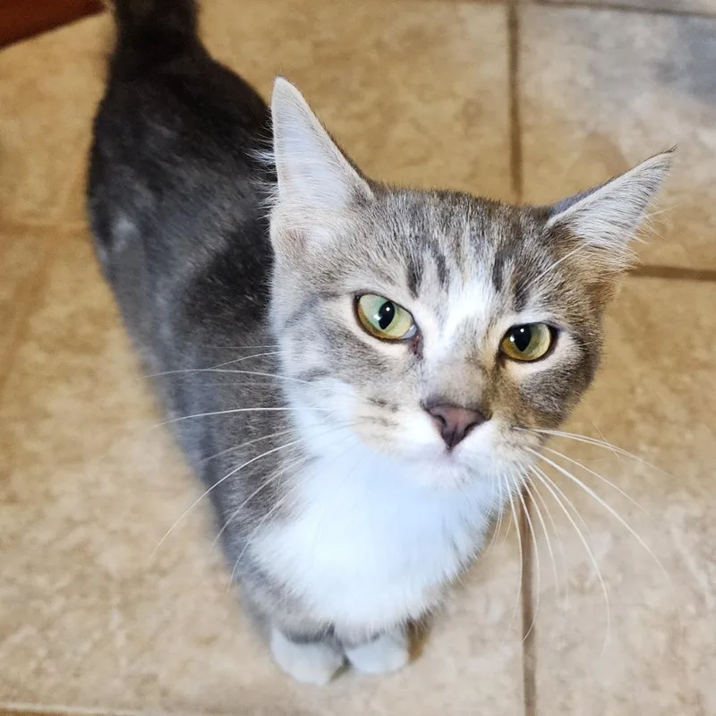 Tyson Beckpurr thumbnail 3