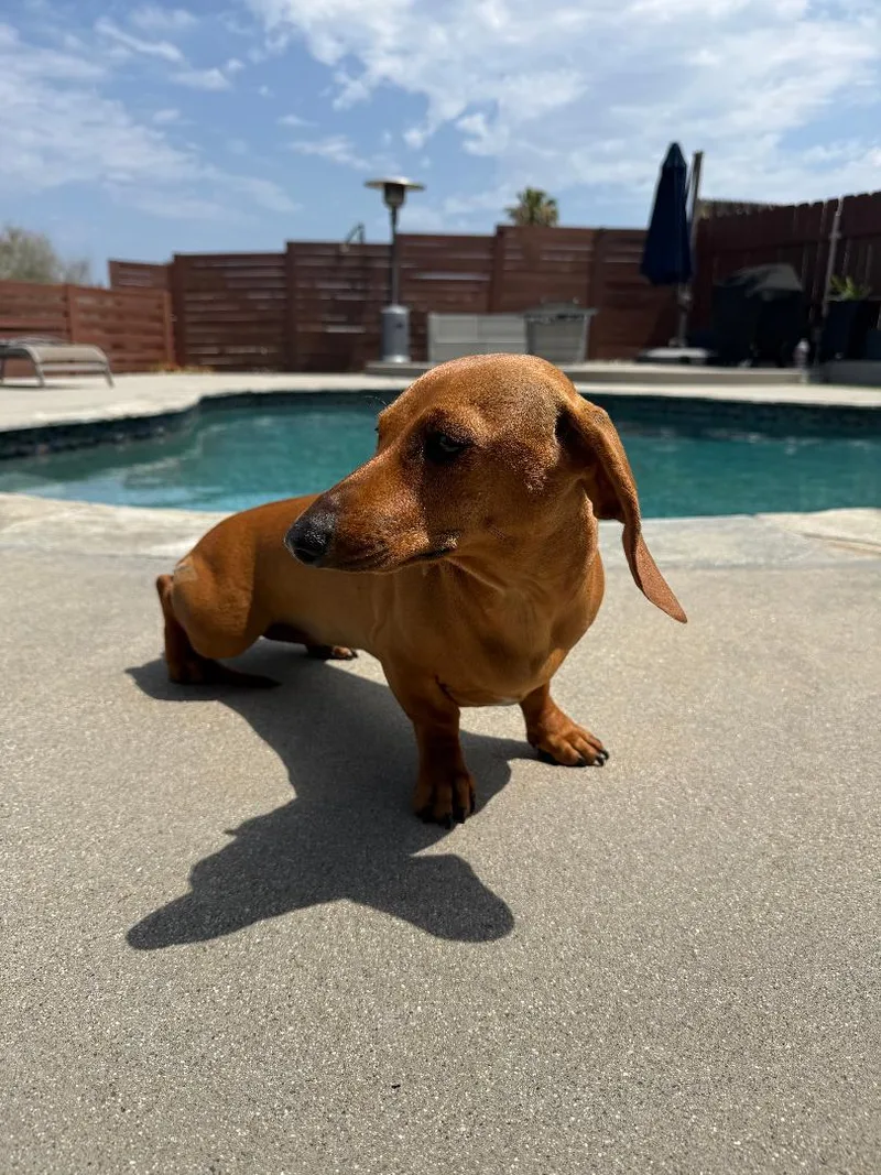 Maddie thumbnail 2