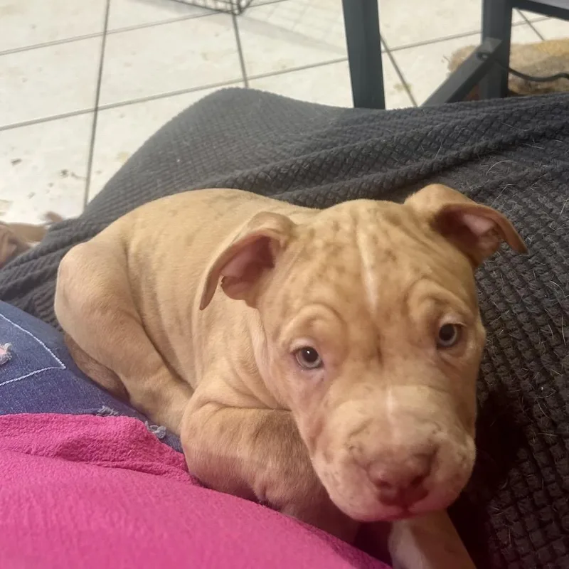 Sally Lou thumbnail 2