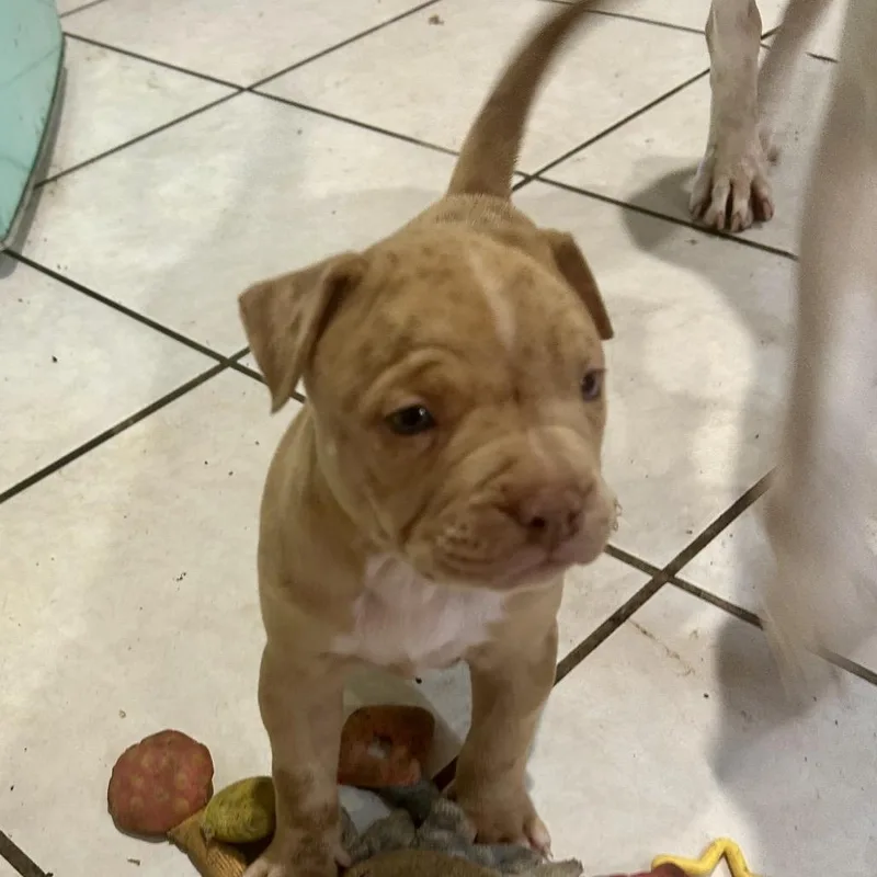 Sally Lou thumbnail 3