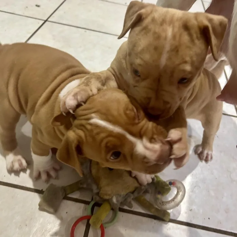 Sally Lou thumbnail 5