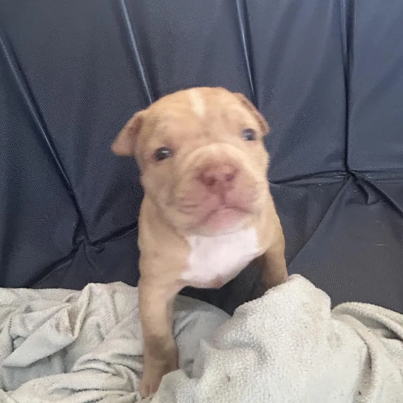 Sally Lou thumbnail 6