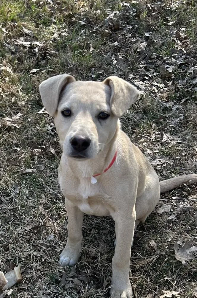 Carmella  Colette’s Girls thumbnail 2