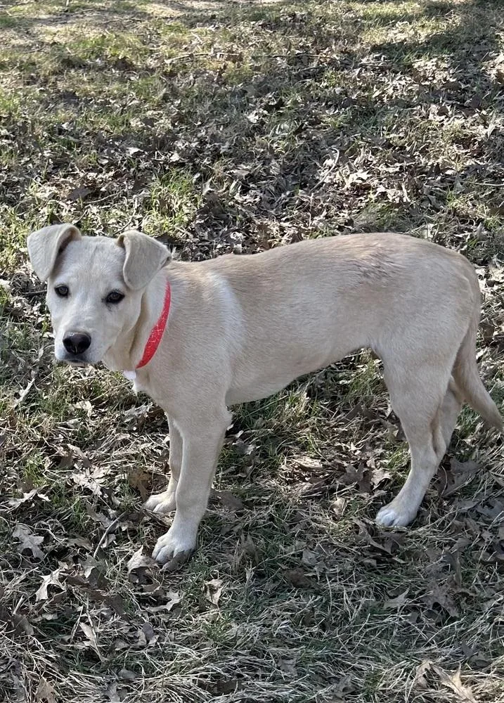 Carmella  Colette’s Girls thumbnail 3