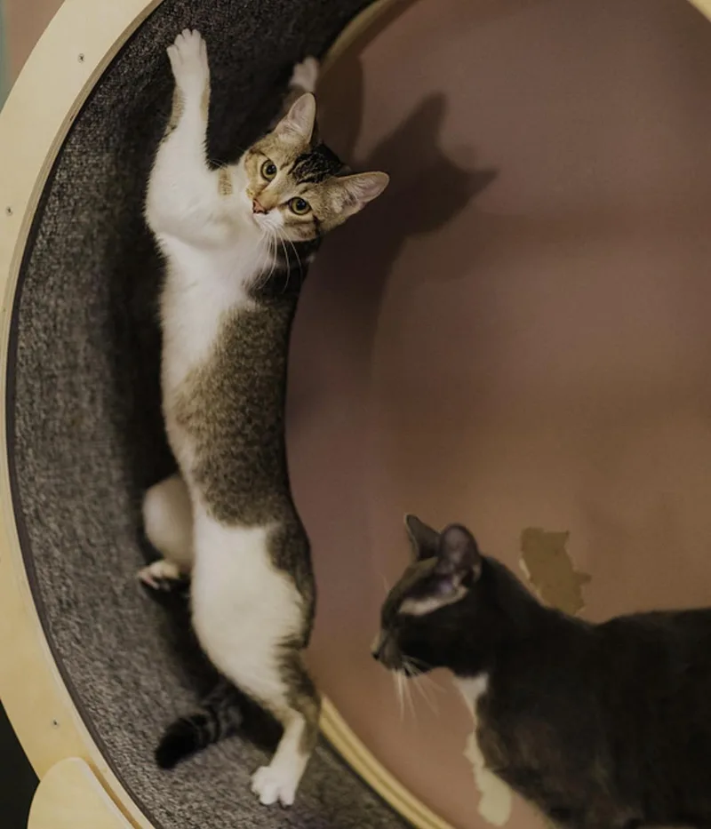 Laserjet thumbnail 3