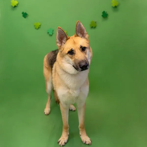 Pen C  Jon thumbnail 2