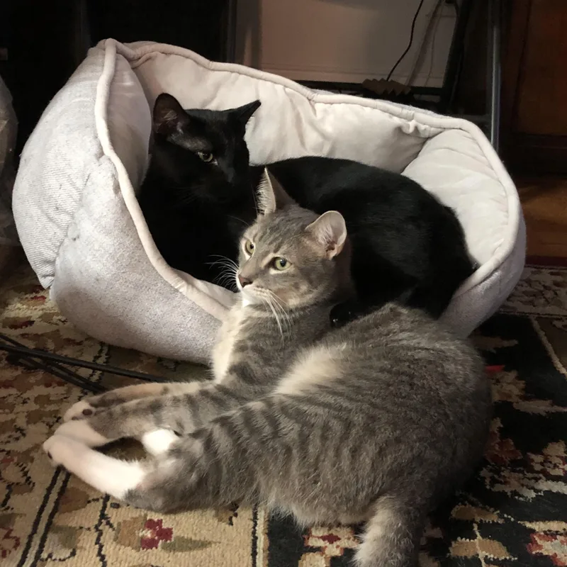 Nerokirk thumbnail 2