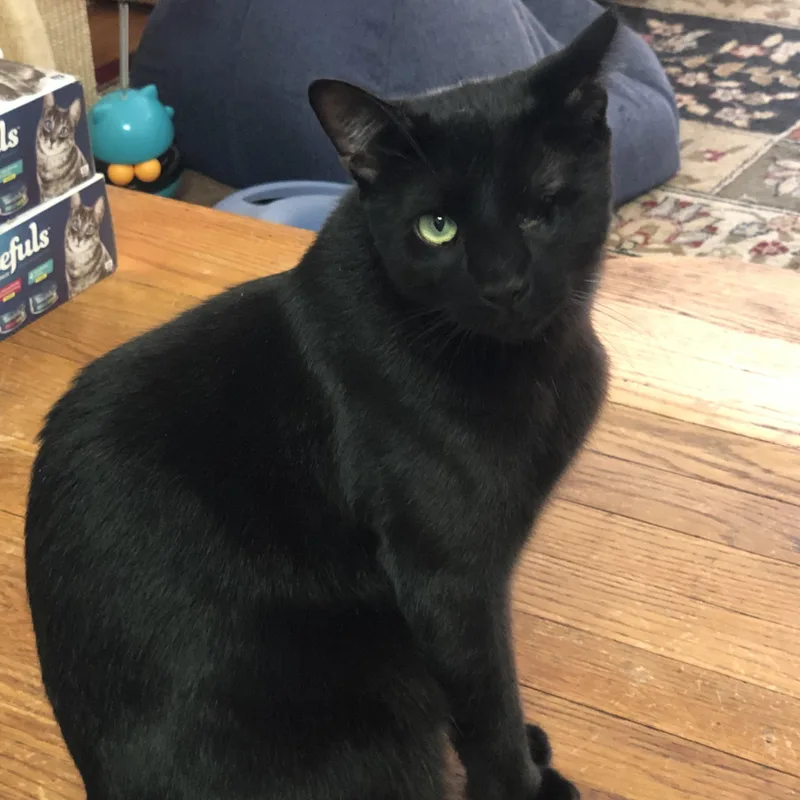 Nerokirk thumbnail 3