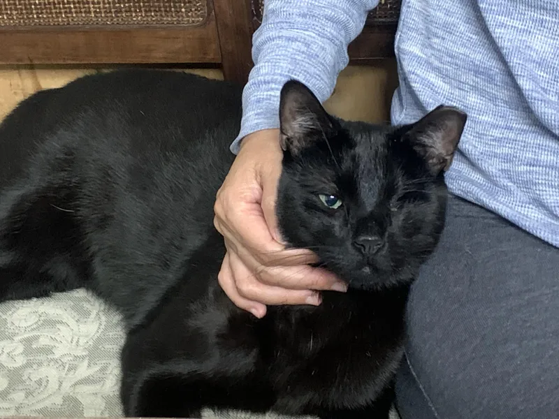 Nerokirk thumbnail 4