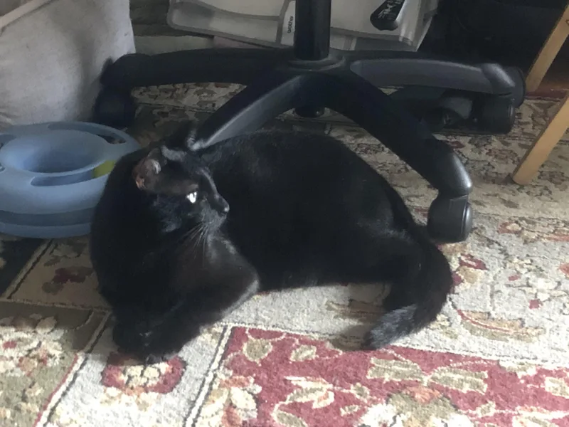 Nerokirk thumbnail 6