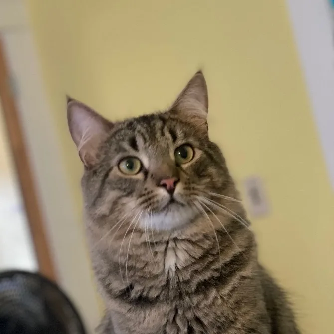 Chaucer & Betty thumbnail 4