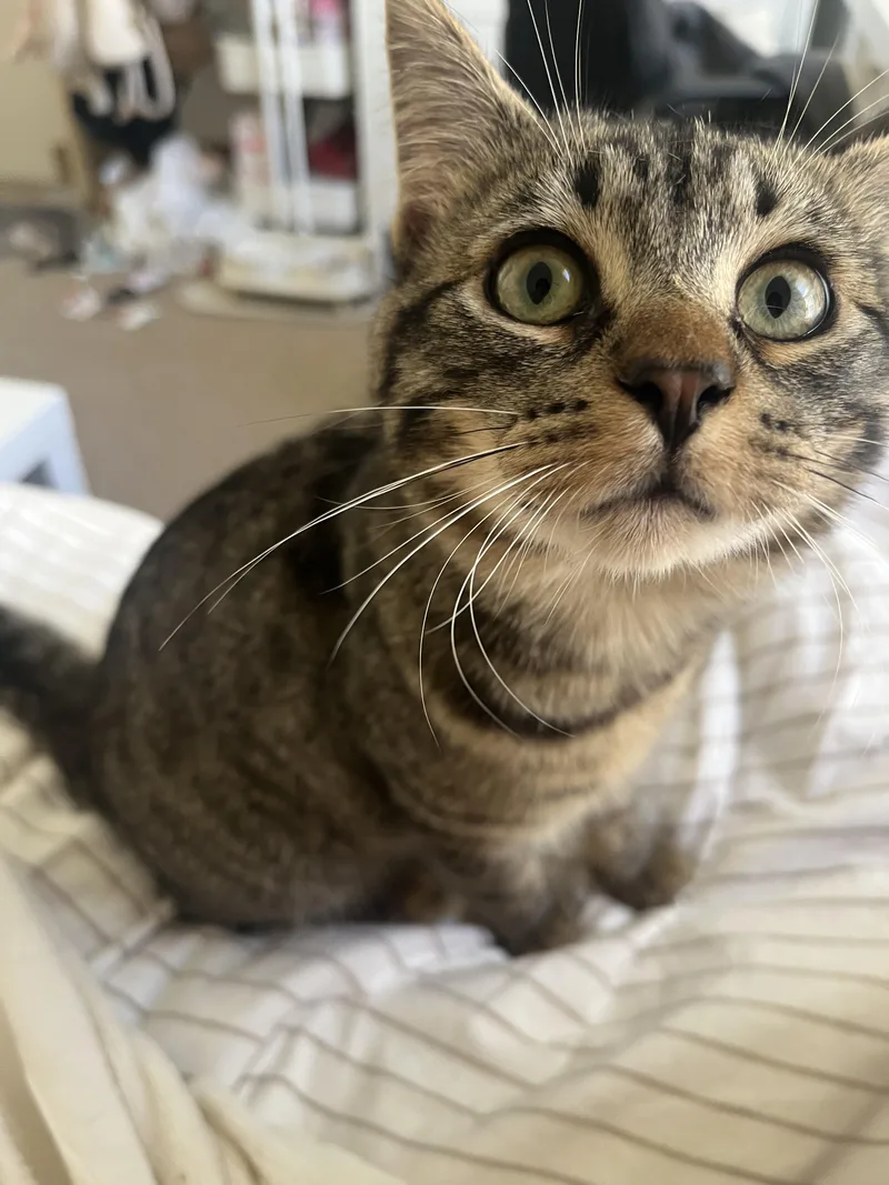 Juicebox thumbnail 2