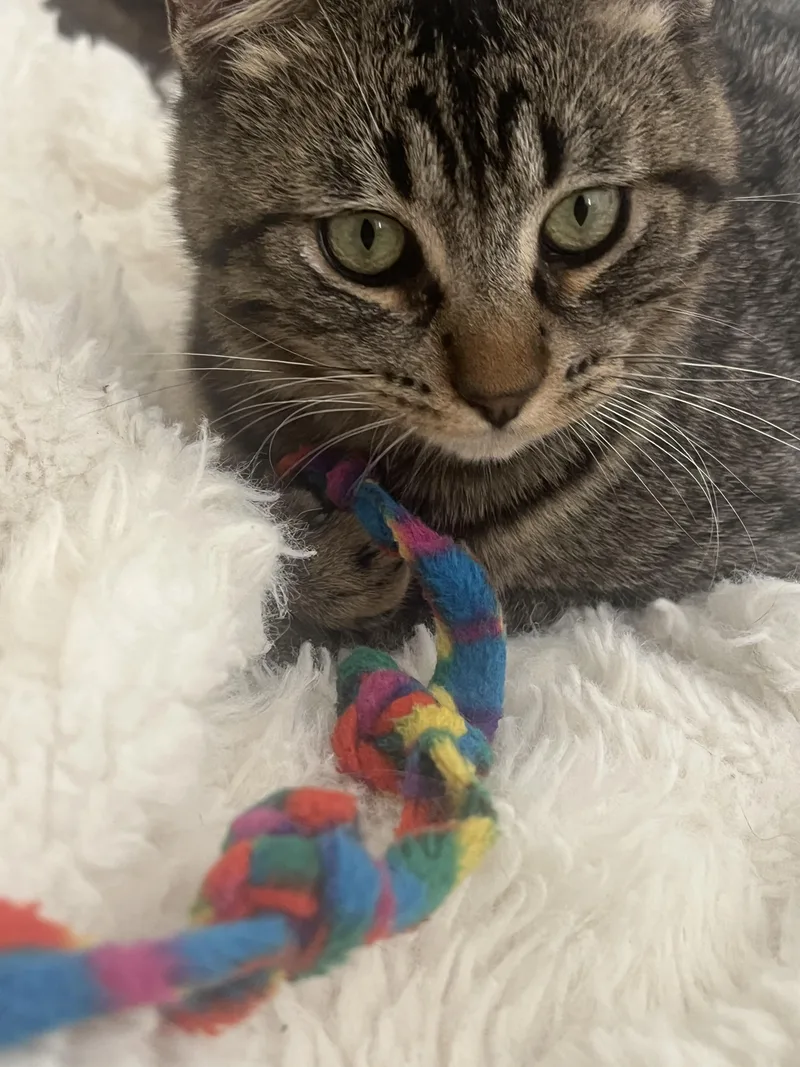 Juicebox thumbnail 3