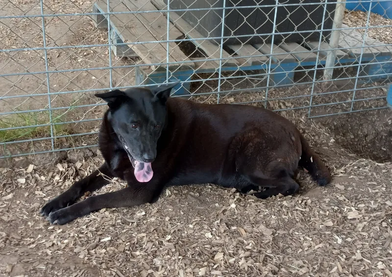 Princess thumbnail 2