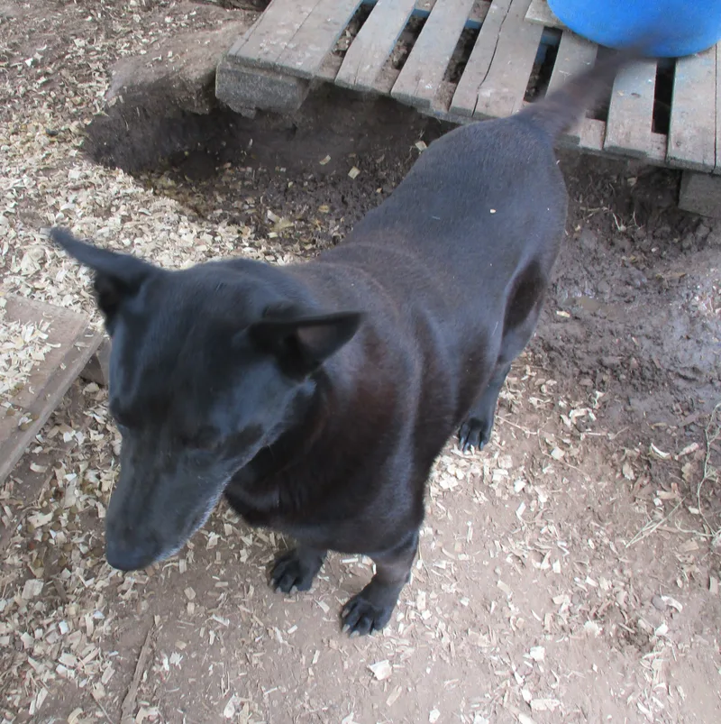 Princess thumbnail 3