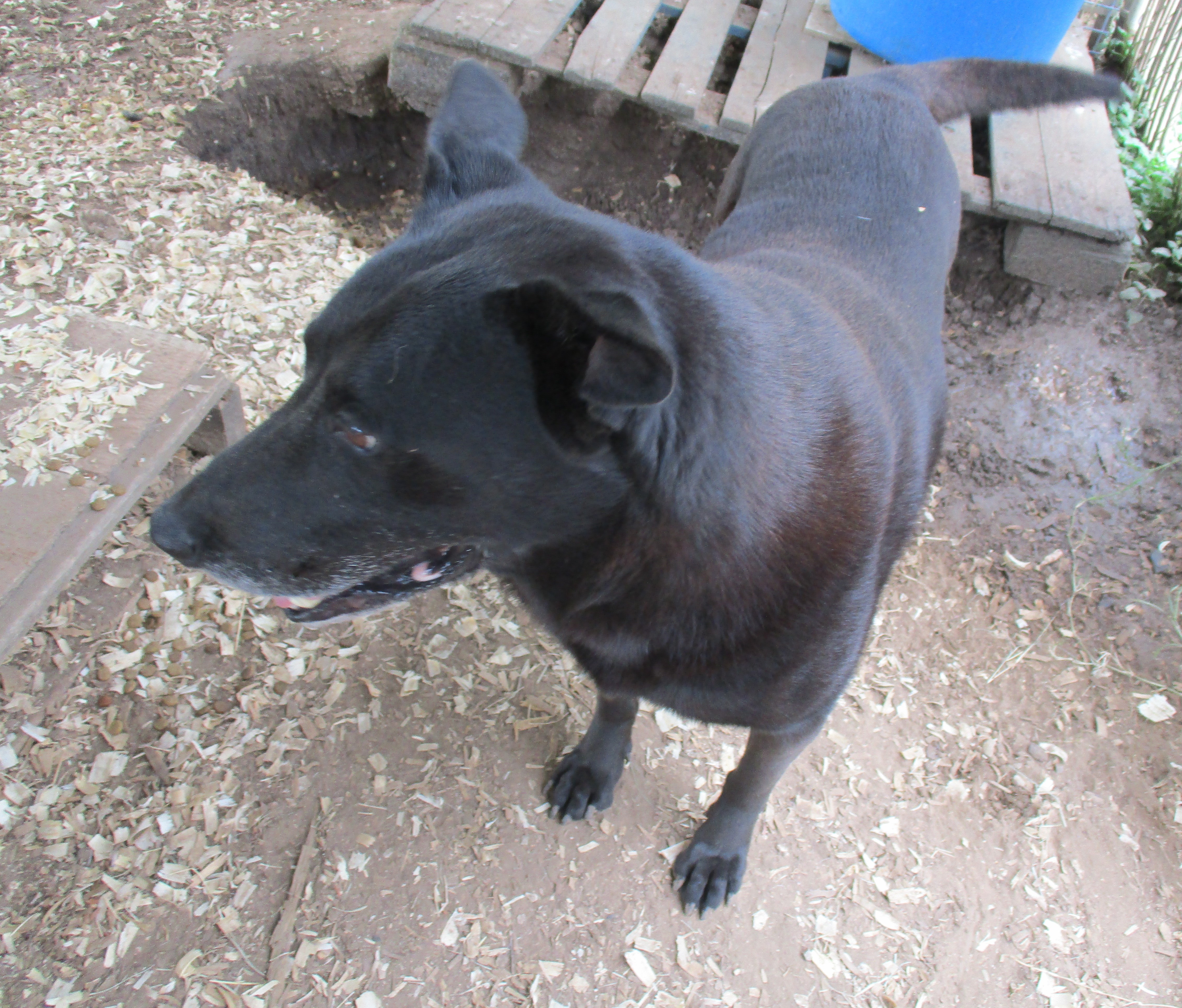 Princess thumbnail 4