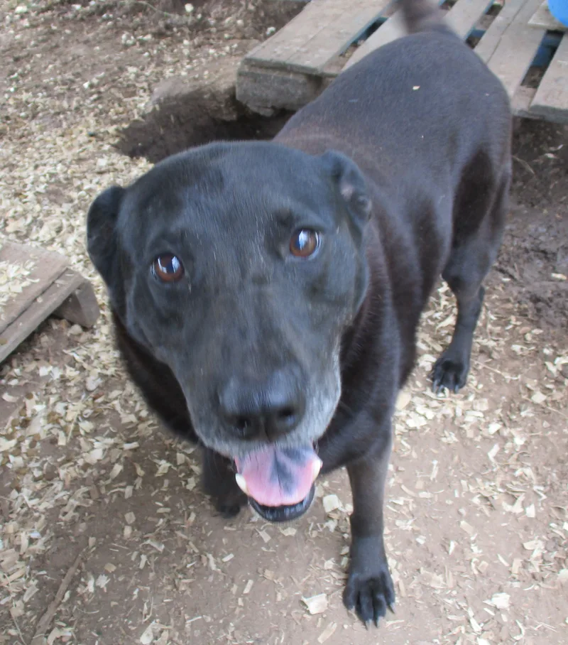 Princess thumbnail 5