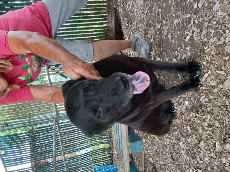 Princess thumbnail 6