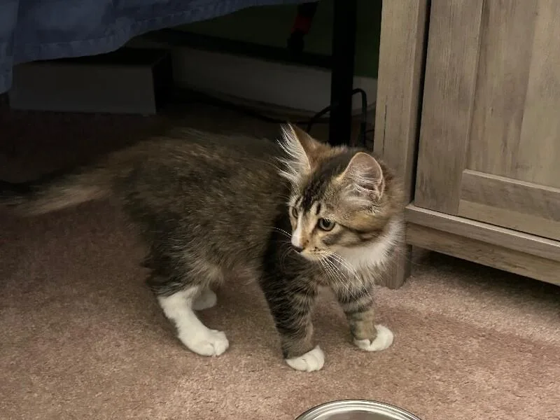 Thor BONDED to Freya