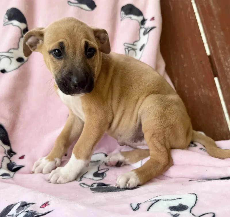 Maddie Mojito thumbnail 3