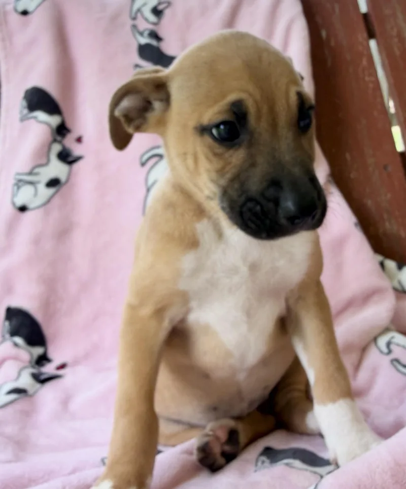 Maddie Mojito thumbnail 4