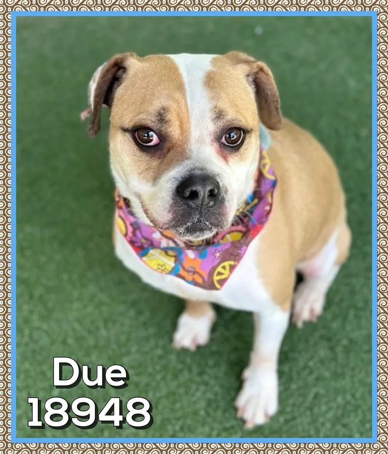 Due