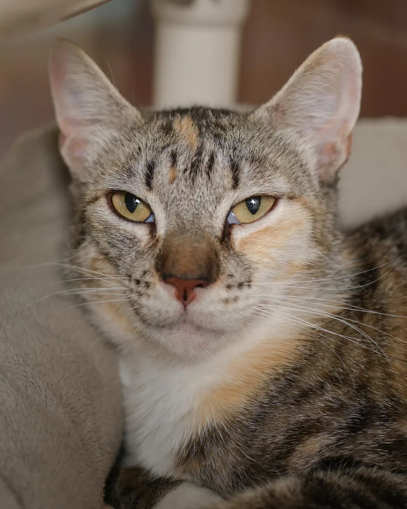 Debbie thumbnail 2
