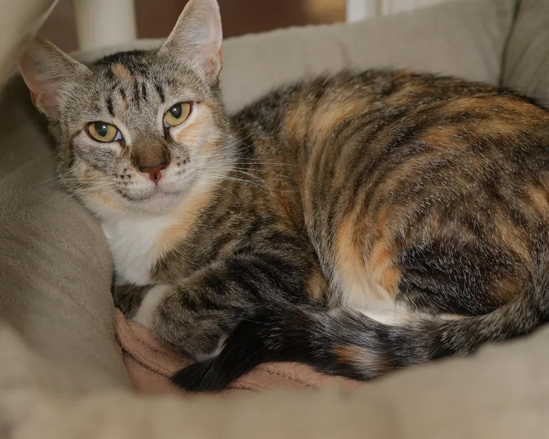 Debbie thumbnail 3
